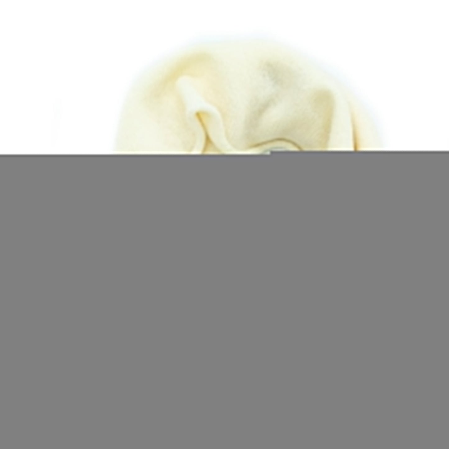 LADIES CASHMERE NECK WARMER